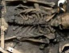 В США в подвале музея найден 6500-летний скелет